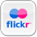 Flickr Icon